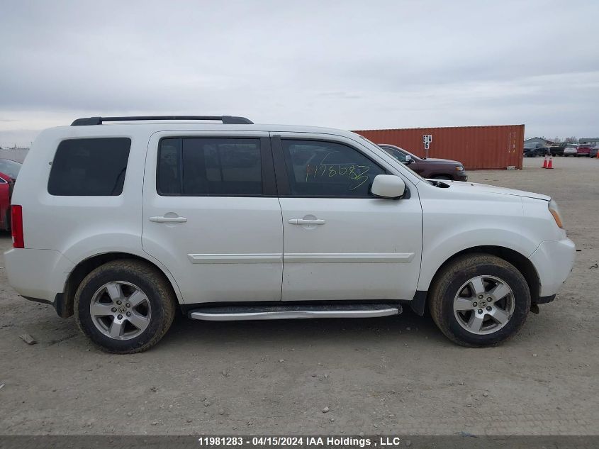 2011 Honda Pilot VIN: 5FNYF4H53BB504409 Lot: 11981283