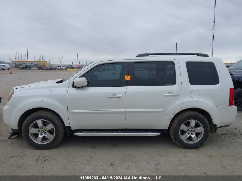 2011 Honda Pilot VIN: 5FNYF4H53BB504409 Lot: 11981283