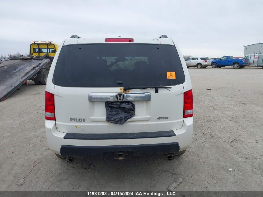 2011 Honda Pilot VIN: 5FNYF4H53BB504409 Lot: 11981283