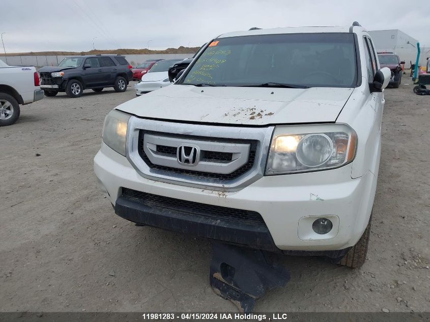 2011 Honda Pilot VIN: 5FNYF4H53BB504409 Lot: 11981283