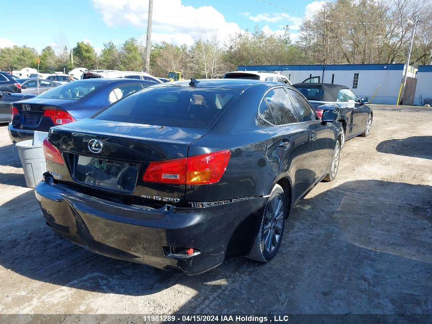 2008 Lexus Is 250 VIN: JTHCK262382021788 Lot: 39240562