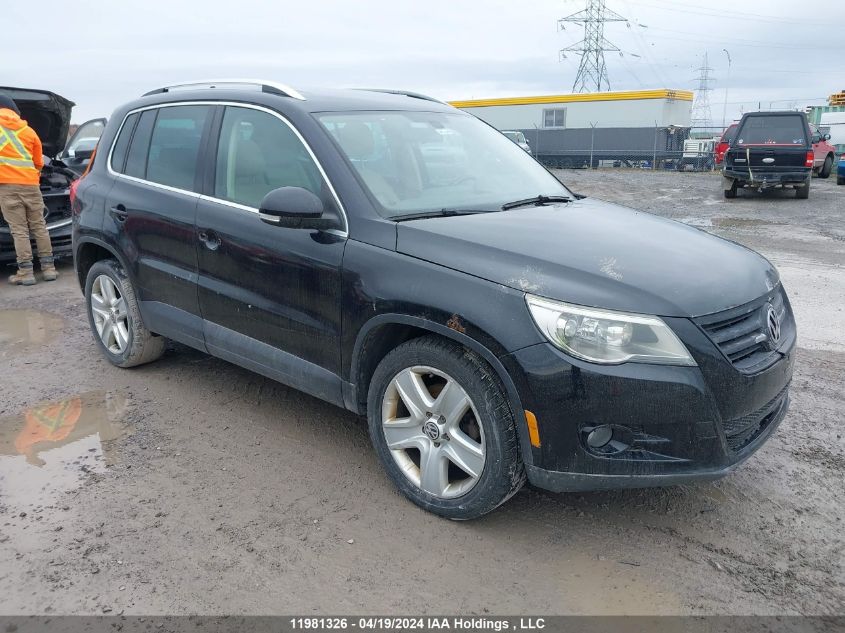 2010 Volkswagen Tiguan VIN: WVGBV7AX9AW511814 Lot: 11981326