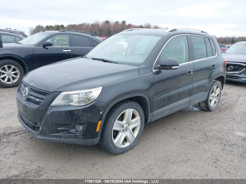 2010 Volkswagen Tiguan VIN: WVGBV7AX9AW511814 Lot: 11981326