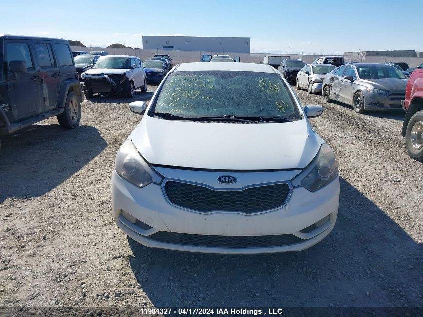 2014 Kia Forte Lx VIN: KNAFX4A60E5070749 Lot: 49420154