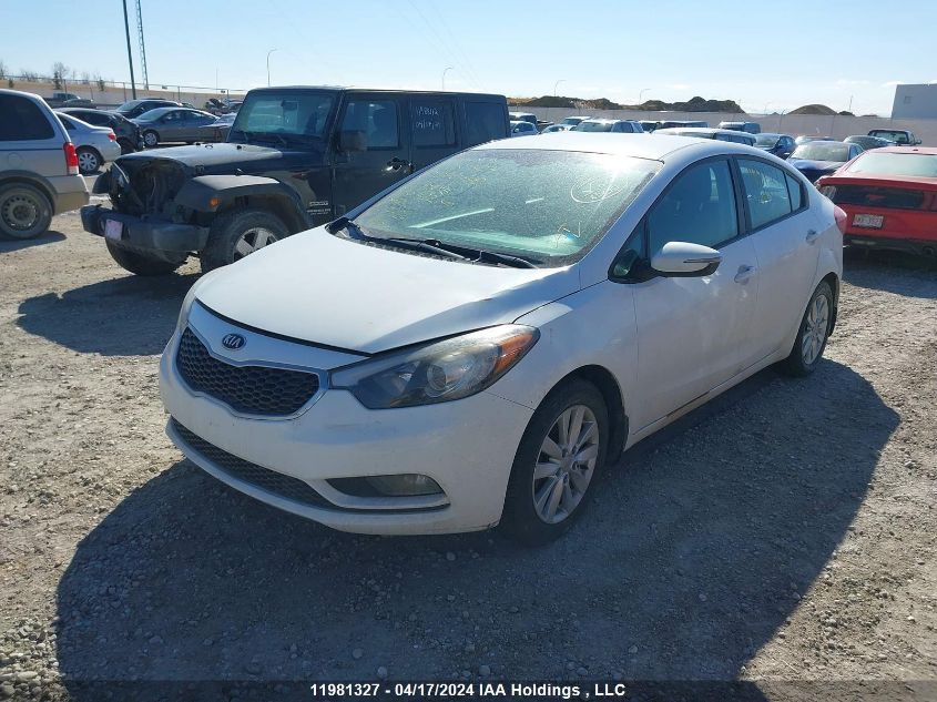 2014 Kia Forte Lx VIN: KNAFX4A60E5070749 Lot: 49420154