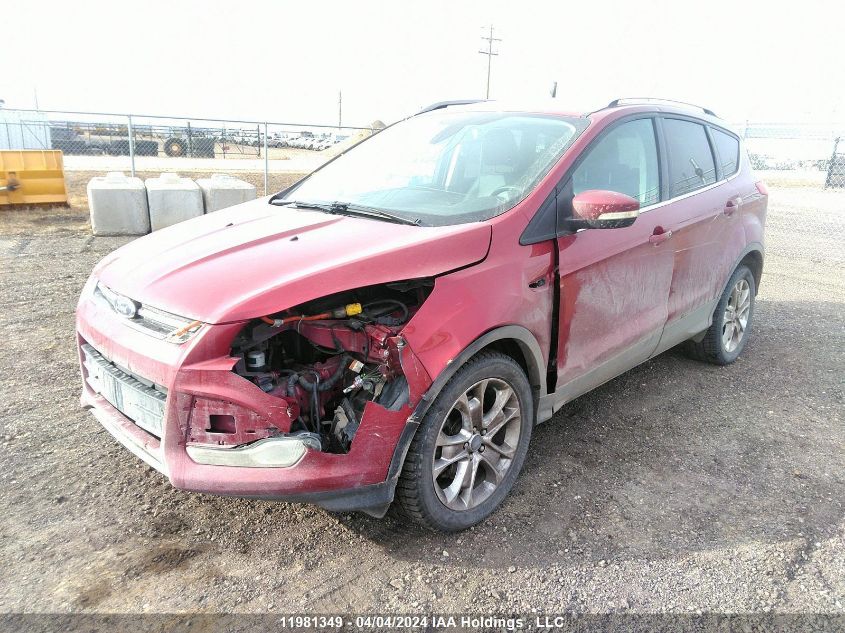 2014 Ford Escape Titanium VIN: 1FMCU9J95EUB87167 Lot: 11981349