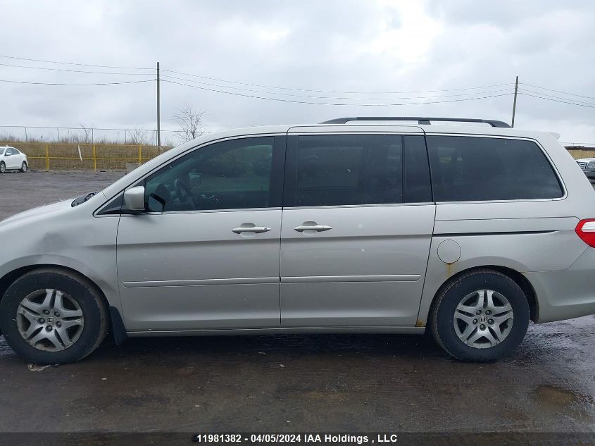 2006 Honda Odyssey VIN: 5FNRL38656B510220 Lot: 11981382