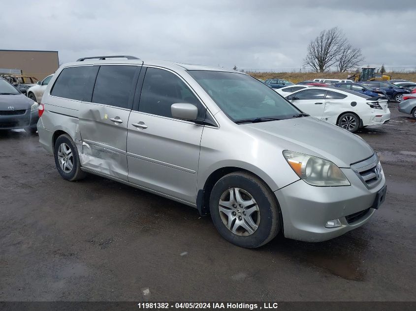 2006 Honda Odyssey VIN: 5FNRL38656B510220 Lot: 11981382