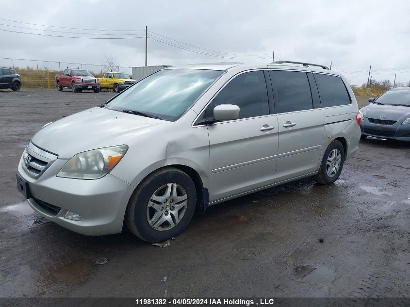 2006 Honda Odyssey VIN: 5FNRL38656B510220 Lot: 11981382