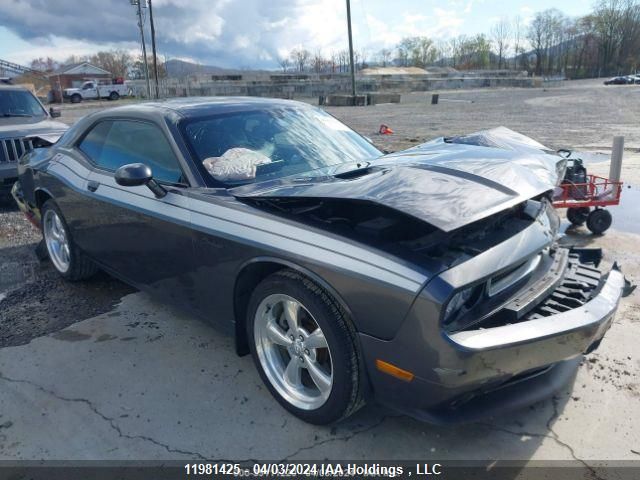 2014 Dodge Challenger R/T VIN: 2C3CDYBT9EH263831 Lot: 11981425