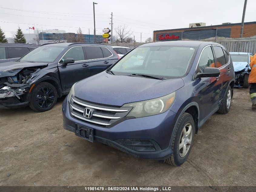 2012 Honda Cr-V VIN: 2HKRM4H37CH100556 Lot: 11981479