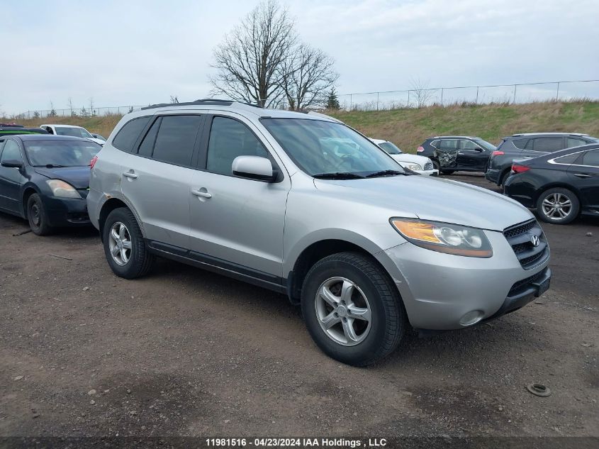 2007 Hyundai Santa Fe VIN: 5NMSG73E17H007456 Lot: 11981516