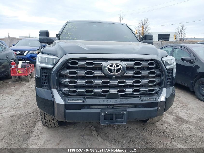 2022 Toyota Tundra Platinum VIN: 5TFNA5EC8NX008963 Lot: 11981537