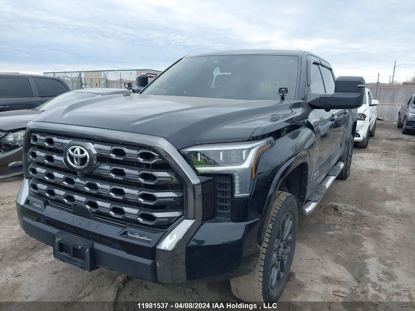 2022 Toyota Tundra Platinum VIN: 5TFNA5EC8NX008963 Lot: 11981537