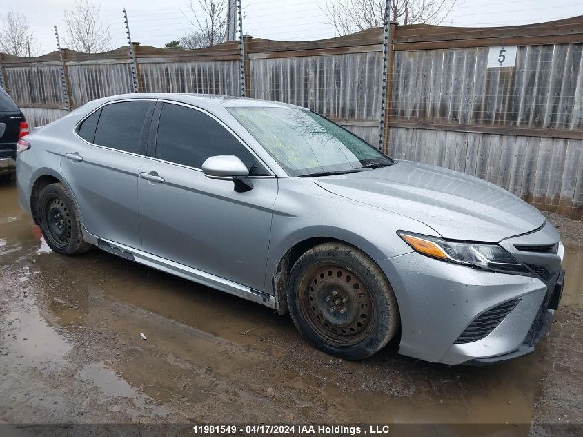2019 Toyota Camry L/Le/Xle/Se/Xse VIN: 4T1B11HK7KU243216 Lot: 11981549