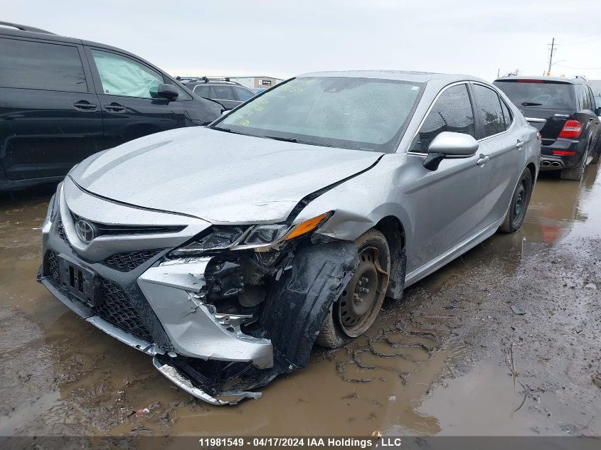 2019 Toyota Camry L/Le/Xle/Se/Xse VIN: 4T1B11HK7KU243216 Lot: 11981549