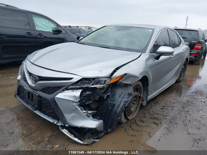 2019 Toyota Camry L/Le/Xle/Se/Xse VIN: 4T1B11HK7KU243216 Lot: 11981549