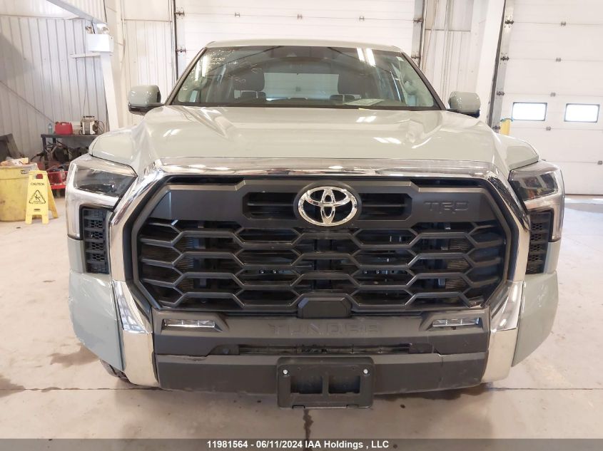 2023 Toyota Tundra Sr VIN: 5TFLA5DB6PX117358 Lot: 11981564