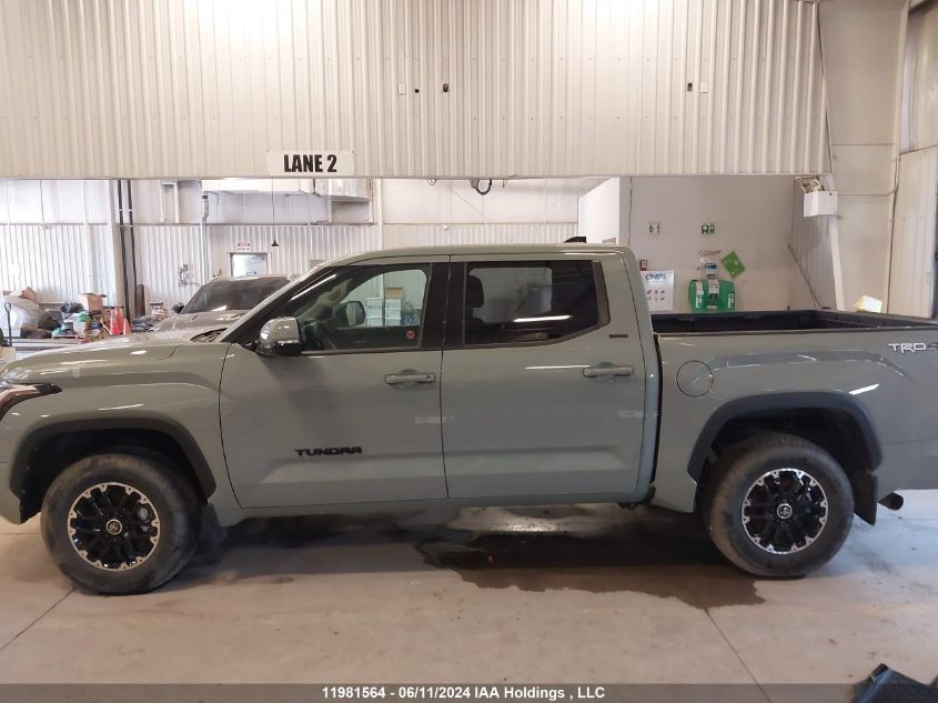 2023 Toyota Tundra Sr VIN: 5TFLA5DB6PX117358 Lot: 11981564