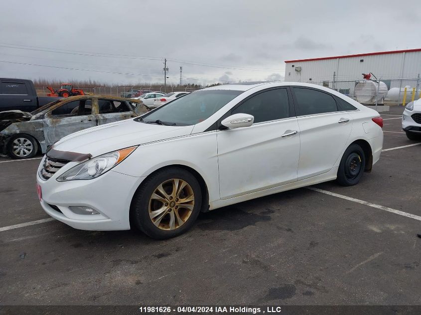 2013 Hyundai Sonata Limited VIN: 5NPEC4AC4DH542997 Lot: 11981626