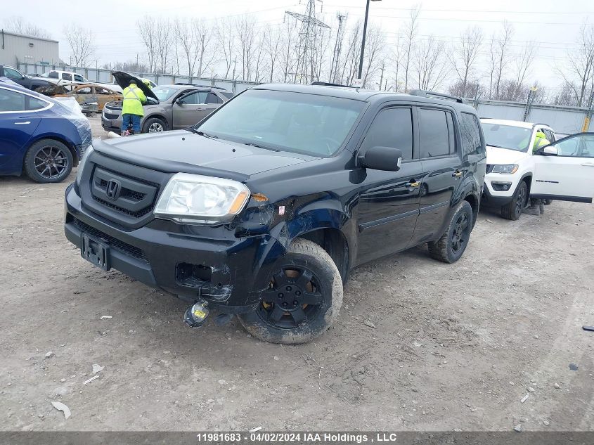 2011 Honda Pilot VIN: 5FNYF4H92BB502251 Lot: 11981683