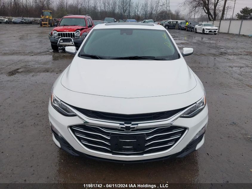 2023 Chevrolet Malibu VIN: 1G1ZE5ST9PF146006 Lot: 11981742