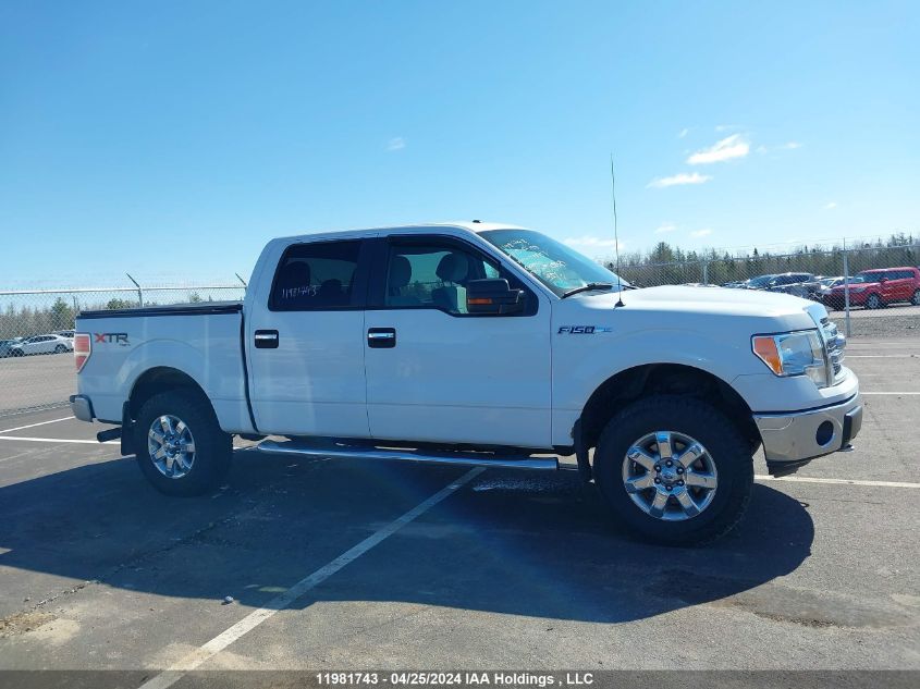 2013 Ford F-150 Xlt VIN: 1FTFW1EF7DFD58551 Lot: 11981743
