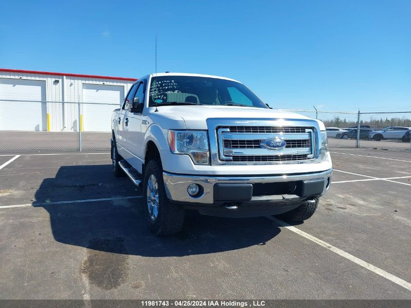 2013 Ford F-150 Xlt VIN: 1FTFW1EF7DFD58551 Lot: 11981743