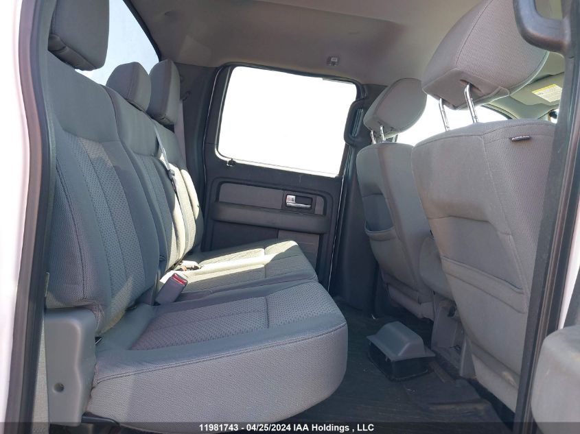 2013 Ford F-150 Xlt VIN: 1FTFW1EF7DFD58551 Lot: 11981743