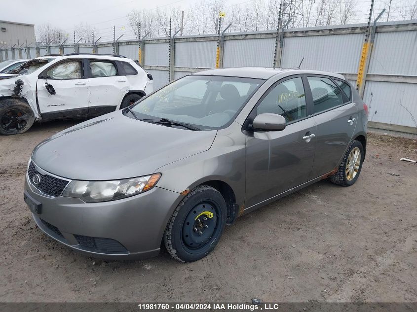 2012 Kia Forte 5-Door VIN: KNAFU5A28C5590657 Lot: 11981760