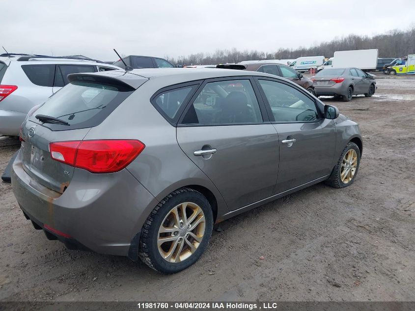 2012 Kia Forte 5-Door VIN: KNAFU5A28C5590657 Lot: 11981760