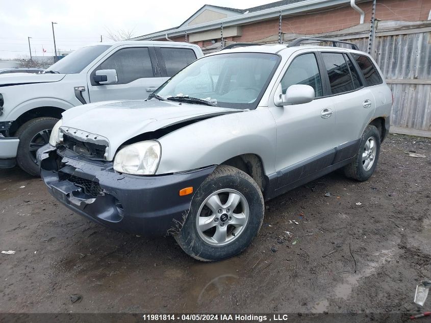 2006 Hyundai Santa Fe VIN: KM8SB13D76U032464 Lot: 11981814