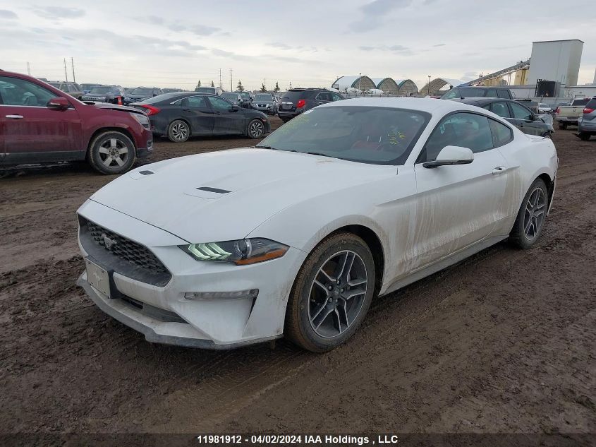 2020 Ford Mustang Ecoboost Premium VIN: 1FA6P8TH2L5142322 Lot: 11981912