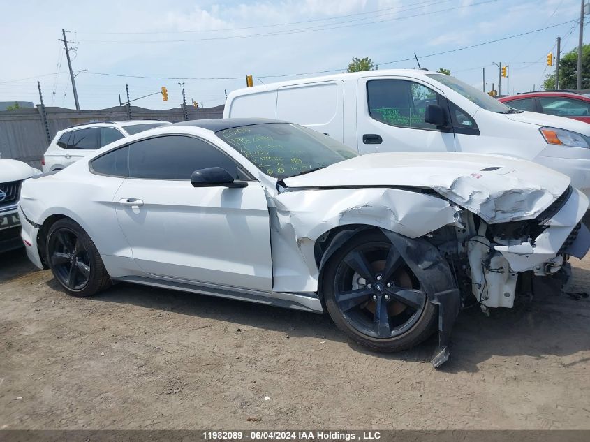 2021 Ford Mustang VIN: 1FA6P8TH5M5124186 Lot: 11982089