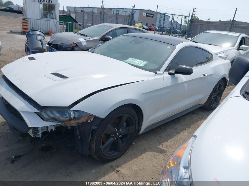 2021 Ford Mustang VIN: 1FA6P8TH5M5124186 Lot: 11982089