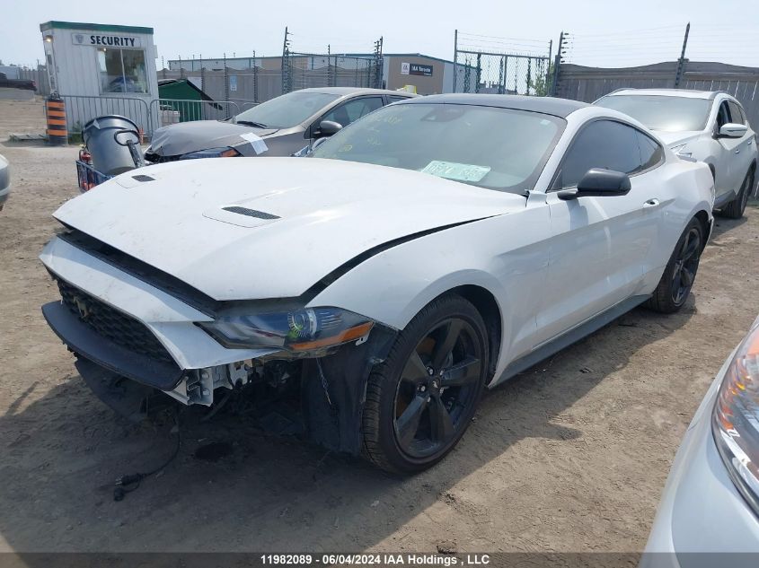 2021 Ford Mustang VIN: 1FA6P8TH5M5124186 Lot: 11982089