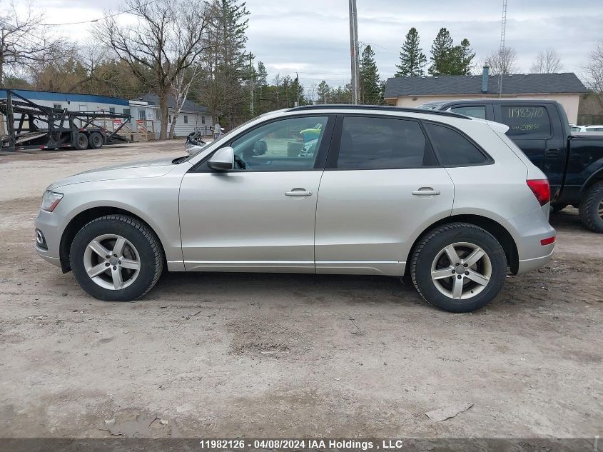 2014 Audi Q5 VIN: WA1CFCFP9EA013567 Lot: 11982126