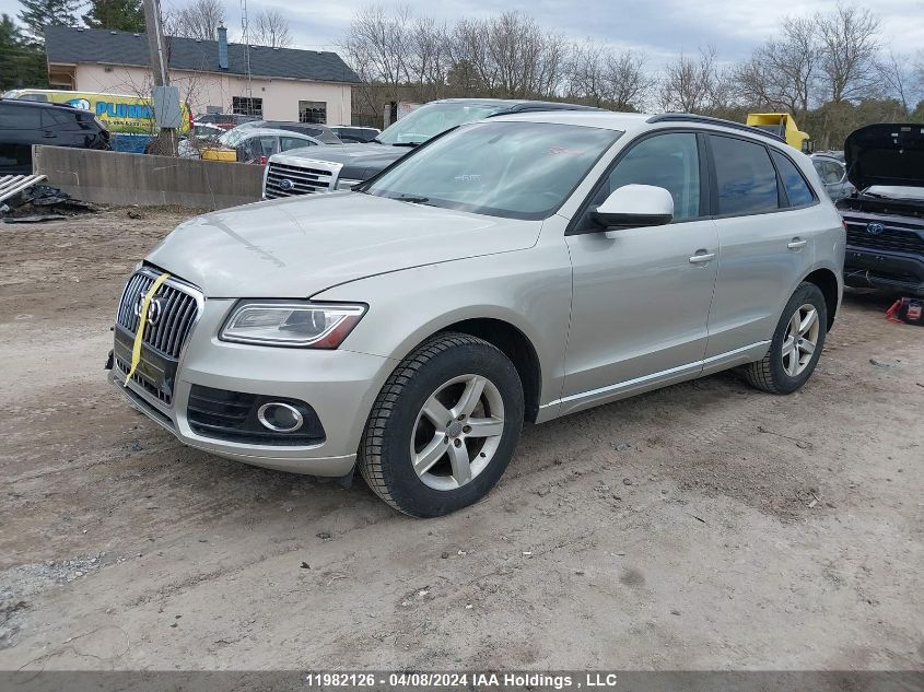 2014 Audi Q5 VIN: WA1CFCFP9EA013567 Lot: 11982126