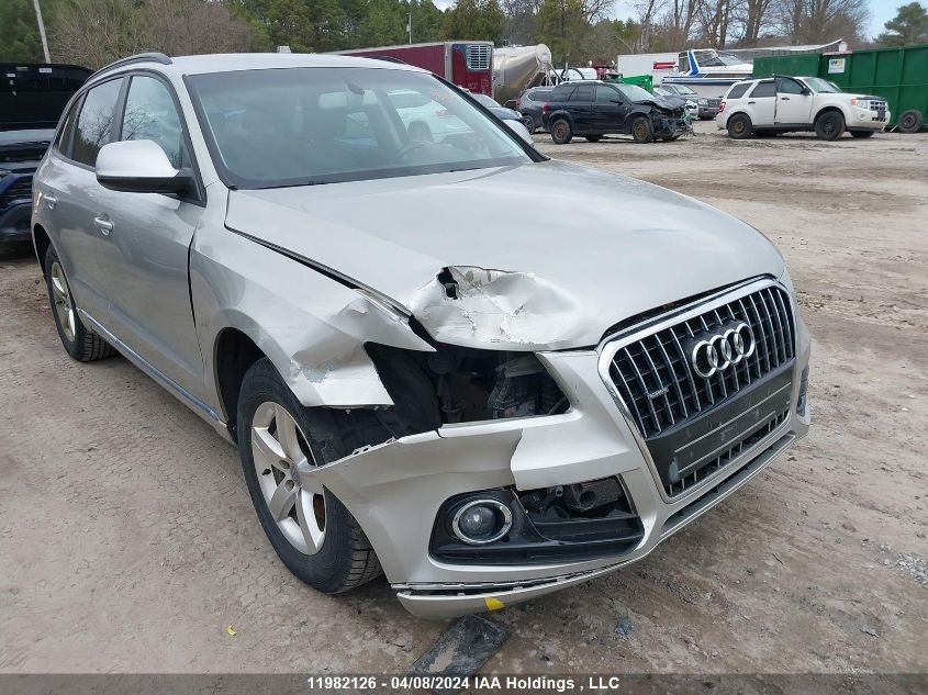 2014 Audi Q5 VIN: WA1CFCFP9EA013567 Lot: 11982126
