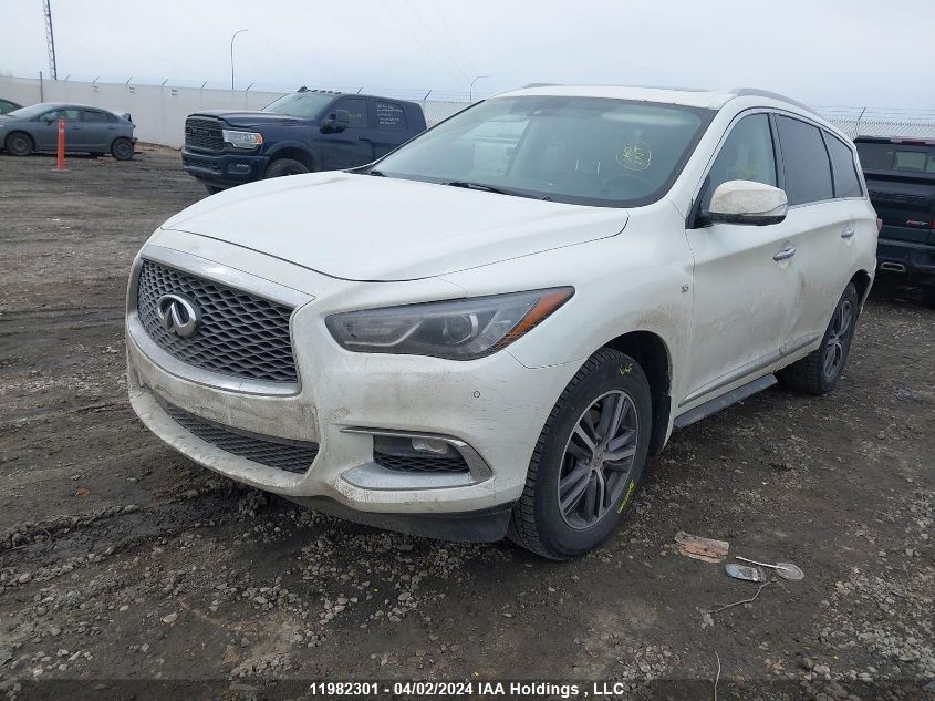 2017 Infiniti Qx60 VIN: 5N1DL0MMXHC540337 Lot: 11982301