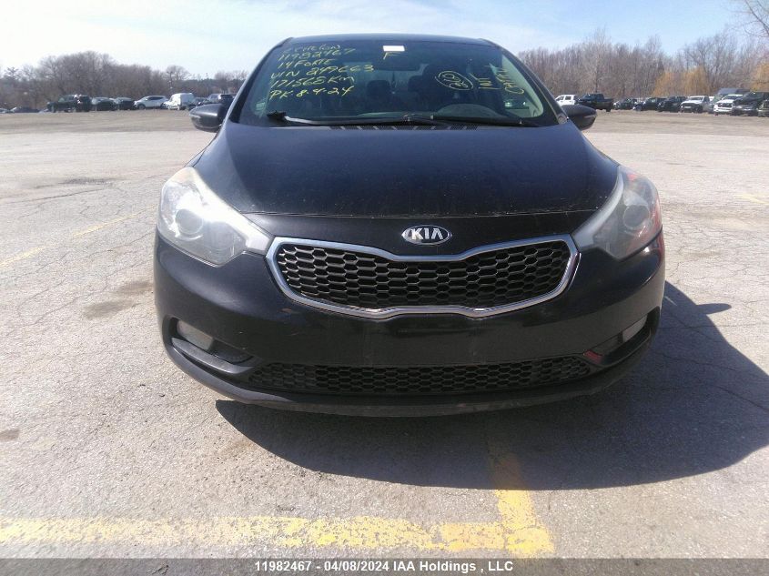 2014 Kia Forte Lx VIN: KNAFX4A69E5249663 Lot: 11982467