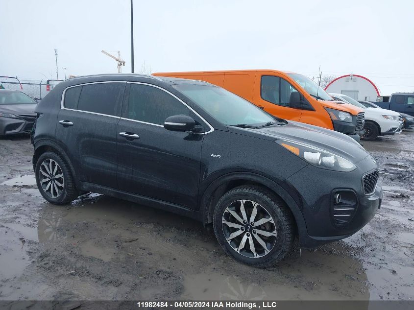 2017 Kia Sportage Ex VIN: KNDPNCAC9H7075549 Lot: 11982484