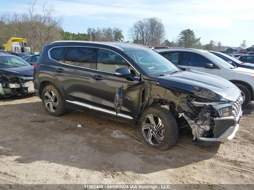 2022 Hyundai Santa Fe Preferred Awd VIN: 5NMS3DAJ8NH431899 Lot: 11982489