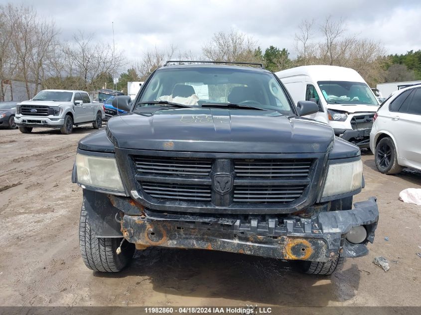 2011 Dodge Dakota Slt VIN: 1D7RW3GK7BS649824 Lot: 39240978