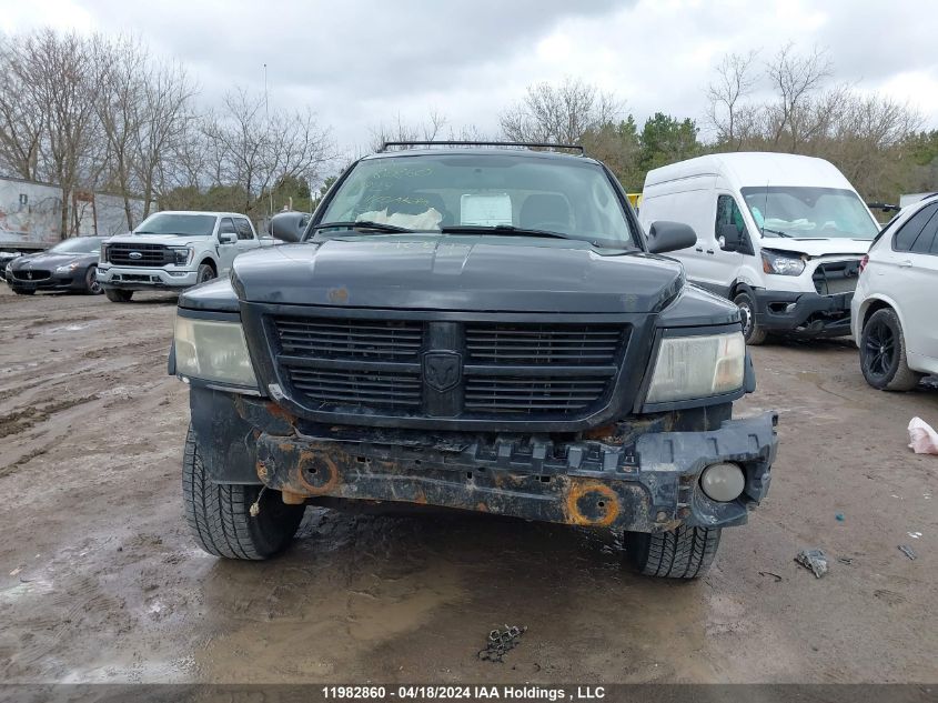 2011 Dodge Dakota Slt VIN: 1D7RW3GK7BS649824 Lot: 39240978