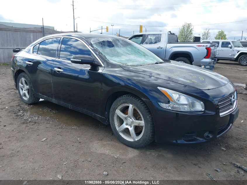 2009 Nissan Maxima S/Sv VIN: 1N4AA51E69C821999 Lot: 11982885