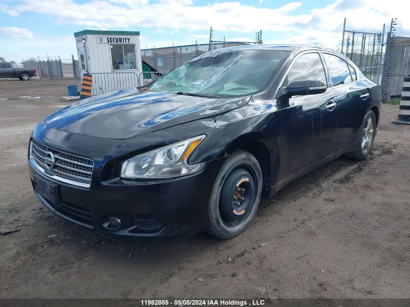 2009 Nissan Maxima S/Sv VIN: 1N4AA51E69C821999 Lot: 11982885