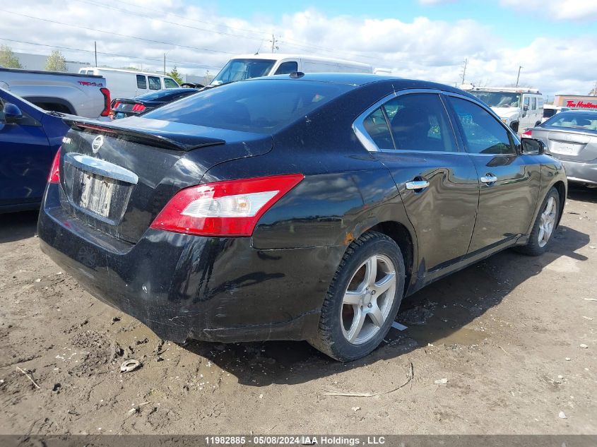 2009 Nissan Maxima S/Sv VIN: 1N4AA51E69C821999 Lot: 11982885