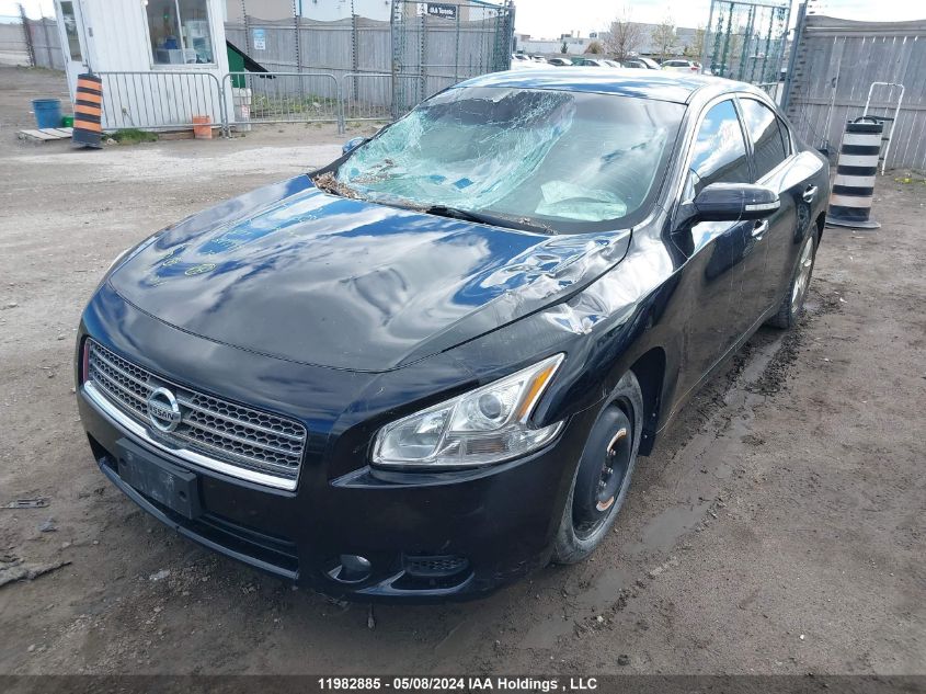 2009 Nissan Maxima S/Sv VIN: 1N4AA51E69C821999 Lot: 11982885