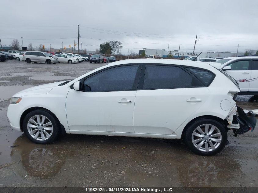 2011 Kia Forte 5-Door VIN: KNAFT5A24B5443866 Lot: 11982925